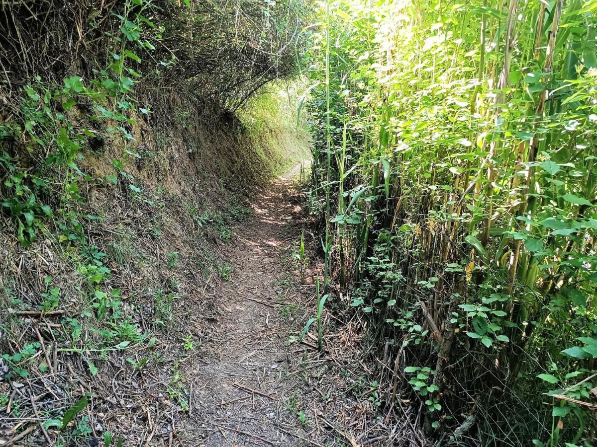 Vivalidays Casa Rural Anna Mieres Gerona エクステリア 写真